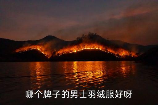 哪个牌子的男士羽绒服好呀