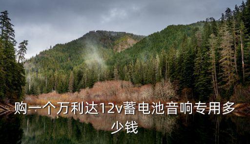购一个万利达12v蓄电池音响专用多少钱