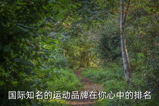 国际知名的运动品牌在你心中的排名