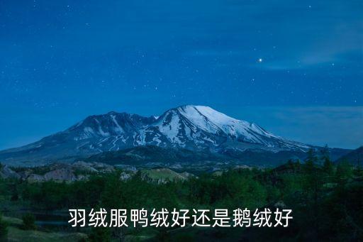 羽绒服鸭绒好还是鹅绒好