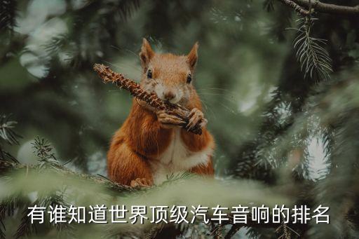 有谁知道世界顶级汽车音响的排名