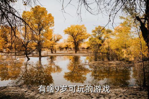 有啥9岁可玩的游戏