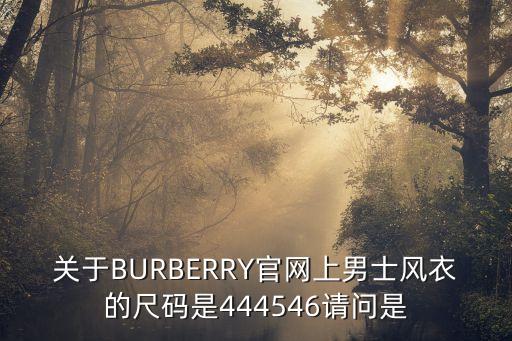 关于BURBERRY官网上男士风衣的尺码是444546请问是