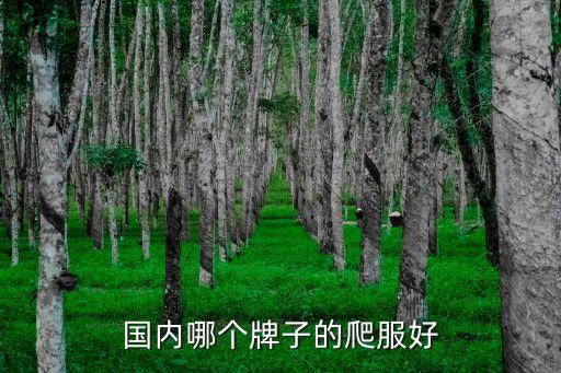 登山服品牌，骆驼的登山服和乐斯菲斯的登山服哪个好