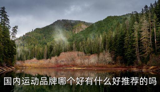 国内运动品牌哪个好有什么好推荐的吗