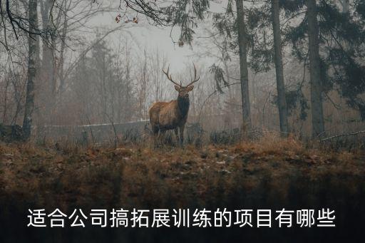 适合公司搞拓展训练的项目有哪些