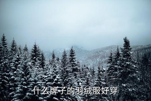 什么牌子的羽绒服好穿