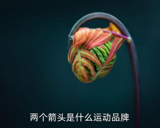 两个箭头是什么运动品牌