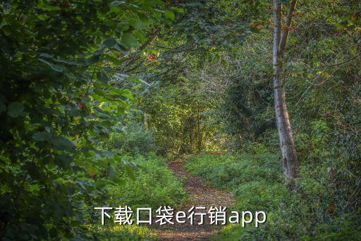 下载口袋e行销app
