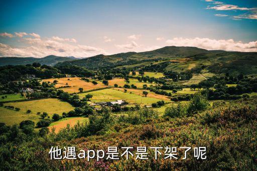 他遇app是不是下架了呢