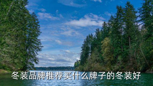 冬装品牌推荐买什么牌子的冬装好