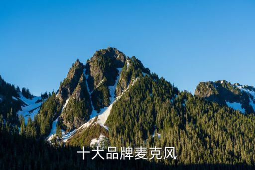 十大品牌麦克风
