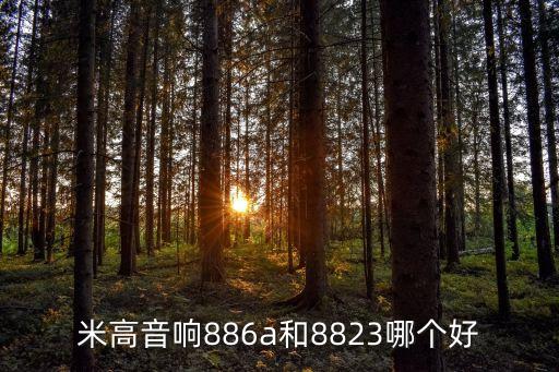 米高音响886a和8823哪个好