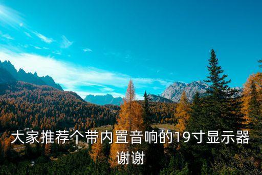 大家推荐个带内置音响的19寸显示器谢谢