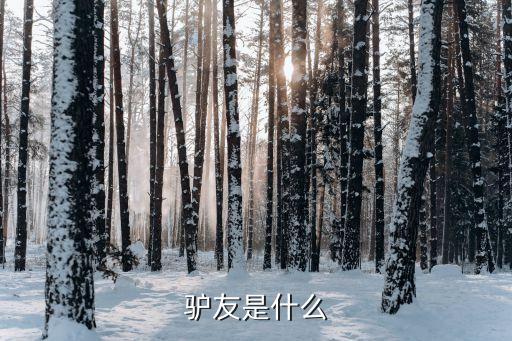 驴友是什么
