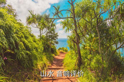 山水音响算是名牌音响吗，山水音响是名牌吗我想买