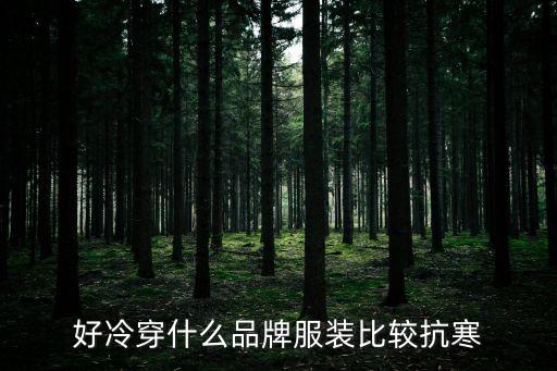 好冷穿什么品牌服装比较抗寒