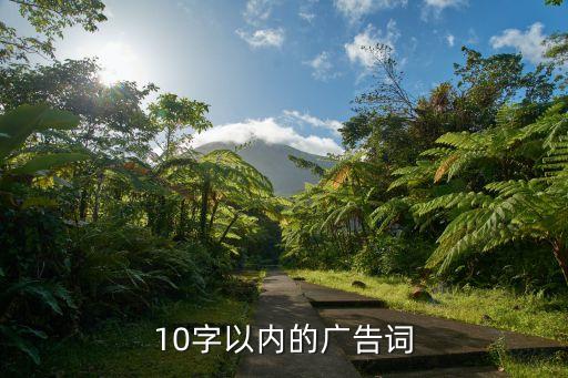 10字以内的广告词