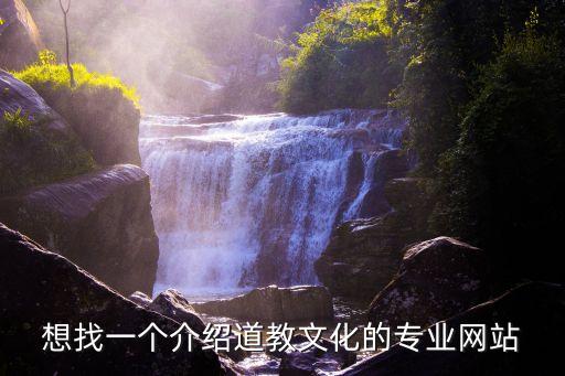 想找一个介绍道教文化的专业网站
