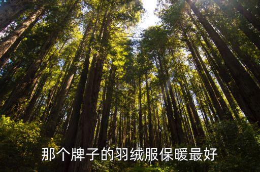 羽绒服哪个品牌保暖性好一点，羽绒服哪个牌子保暖效果比较好