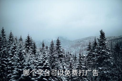 哪个平台可以免费打广告