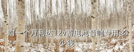购一个万利达12v蓄电池音响专用多少钱