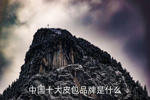 中国十大皮包品牌是什么