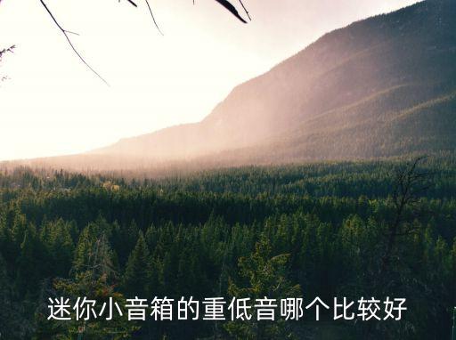 迷你小音箱的重低音哪个比较好