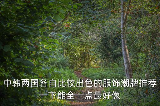 中韩两国各自比较出色的服饰潮牌推荐一下能全一点最好像