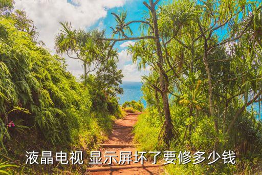 液晶电视 显示屏坏了要修多少钱
