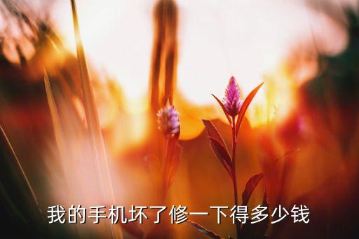 我的手机坏了修一下得多少钱