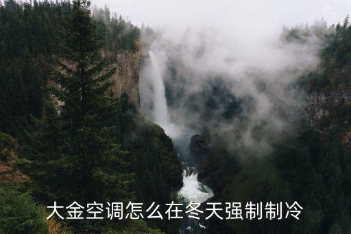 大金空调怎么在冬天强制制冷