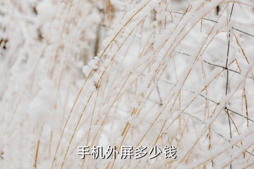 手机外屏最低多少钱啊，手机外屏多少钱