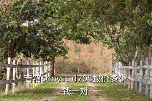 音箱sonyss d705报价多少钱一对