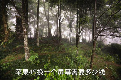苹果4s屏要多少钱一个，苹果4s换个屏幕多少钱