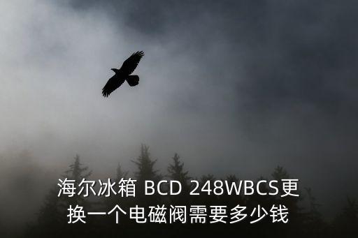 海尔冰箱 BCD 248WBCS更换一个电磁阀需要多少钱