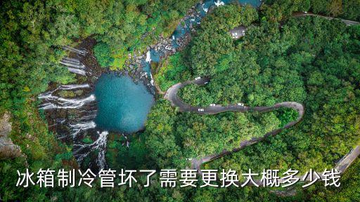 冰箱制冷管坏了需要更换大概多少钱