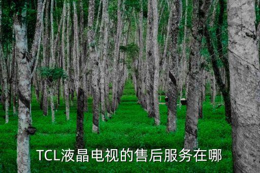 TCL液晶电视的售后服务在哪