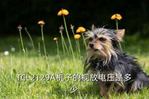 tcl电视at29211a待机电压是多少，TCL2129A机子的视放电压是多少