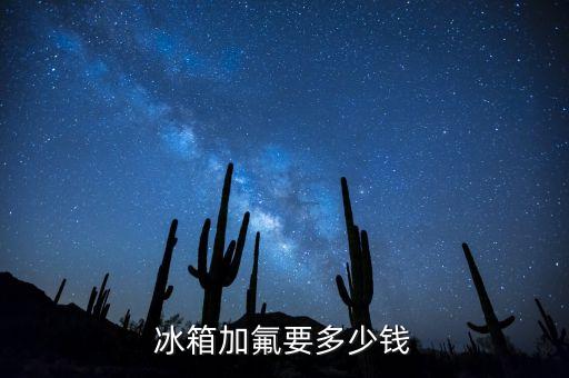 冰箱加氟要多少钱