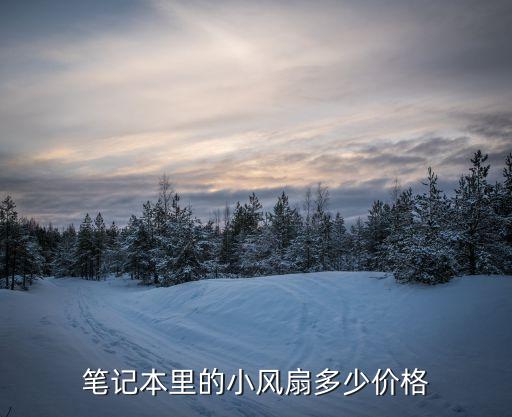笔记本里的小风扇多少价格