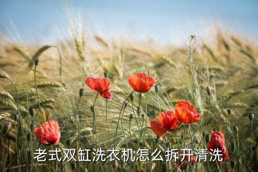 双缸洗衣机如何拆，双缸洗衣机顶盖怎么拆