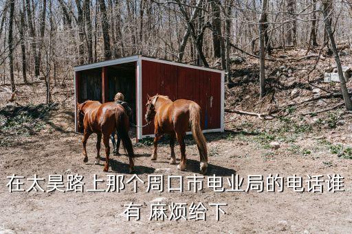 在太昊路上那个周口市电业局的电话谁有 麻烦给下