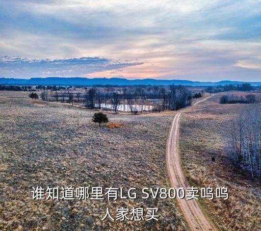 谁知道哪里有LG SV800卖呜呜人家想买