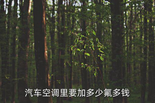 汽车空调里要加多少氟多钱