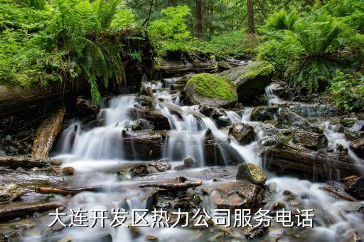 大连开发区热力公司服务电话