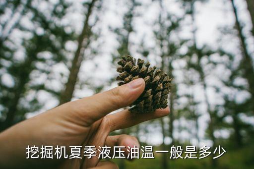 挖掘机夏季液压油温一般是多少