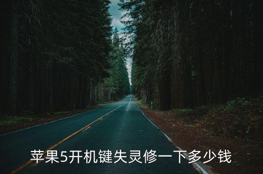 苹果5开机键失灵修一下多少钱
