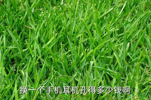 换一个手机耳机孔得多少钱啊