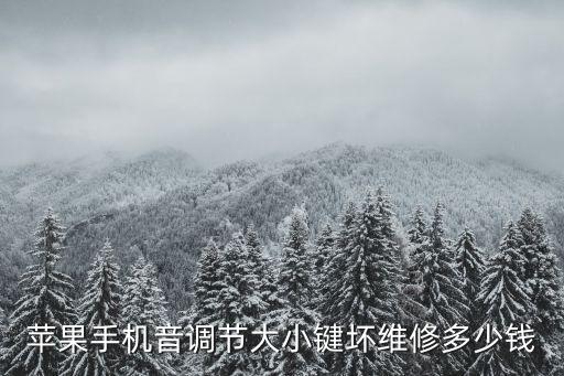 苹果手机音调节大小键坏维修多少钱